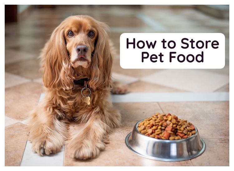 how to store pet food without losing nutritions