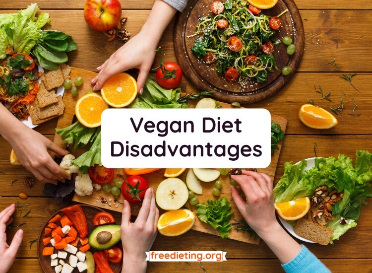Vegan Diet Disadvantages