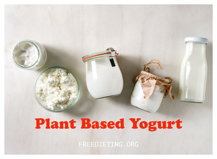 What is Plant Based Yogurt